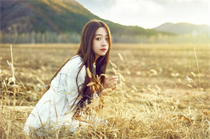 上海品茶工作室：耕地流转在上海农业中的应用